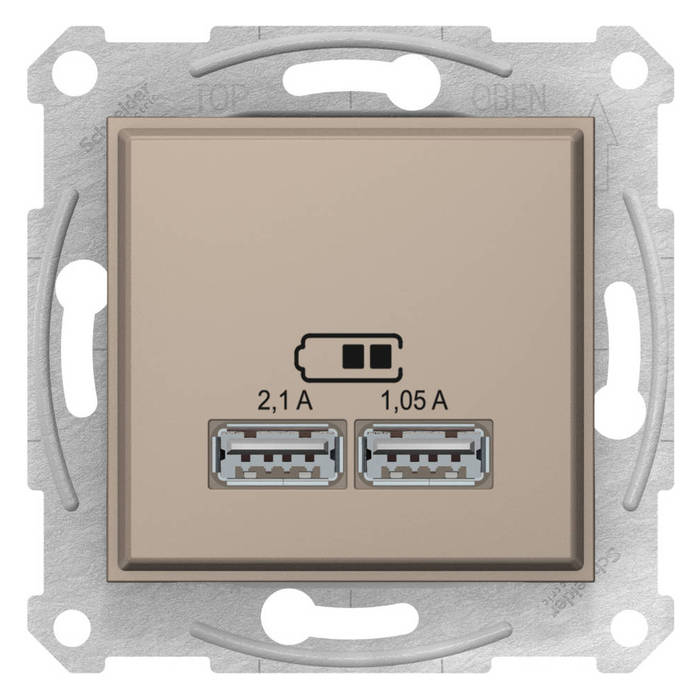 Розетка 2xUSB Schneider Electric SEDNA, скрытый монтаж, титан, SDN2710268